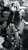Filename=x_bd54a3fb.jpg
Filesize=33KiB
Dimensions=273x480
Date added=Oct 16, 2010 x_bd54a3fb.jpg