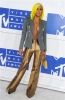 image~1246.jpeg